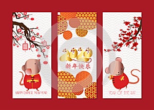 Vertical Hand Drawn Banners Set with Chinese New Year. Chinese characters mean Happy New Year