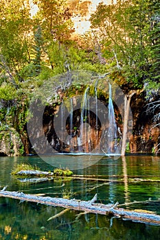 Vertical of Hanging Lake with waterfall and log