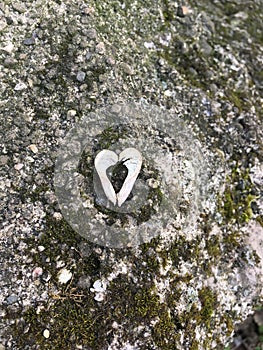 Vertical high angle shot of heart shaped pieces of wood on a moss covered rock