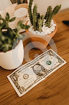 Vertical high angle shot of a one dollar banknote on the wooden table in front of the plant pots