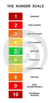 Vertical hunger scale. Food fullness level. Ghrelin and leptin balance meter. Appetite regulation infographic for weight