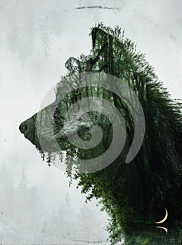 Vertical illustration of a wolf filled with a forest isolated on a grayish background