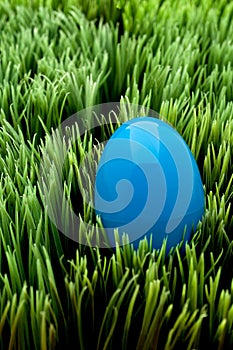 Vertical image of a blue Easter egg