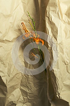 Vertical image.Bouquet of orange lilies against craft wrapping paper.Empty space photo