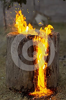 Vertical image of a burning log creating a fiery background
