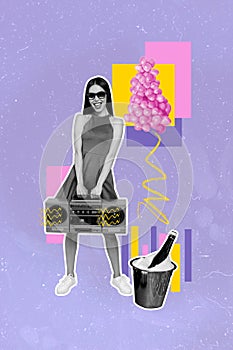 Vertical image collage of happy cheer girl hold retro boombox basket champagne bottle party grape event isolated on