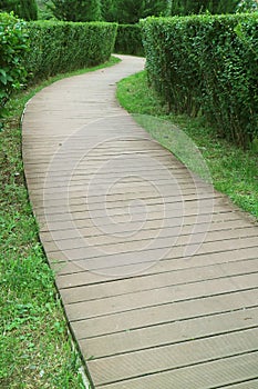 Vertical image of an empty wooden path in the park photo