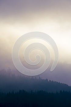 vertical image with four diffuse levels of contrast levels with a foggy view