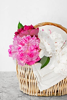 Vertical image fresh lush fragrant multicolored peonies in a straw eco friendly wicker basket with a white cotton napkin on a