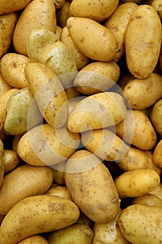 Vertical Image of Heap of Fresh Law Potatoes, Top View for Background