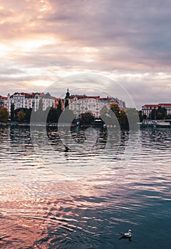 Vertical image of historical part of Prague with Vltava River on foreground on beautiful sunset with purple dramatic sky - taken