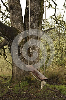 Vertical image of an isolated swing in the rain.