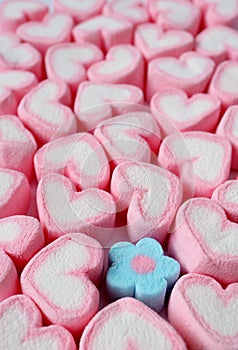 Vertical Image of Many Pastel Pink and White Heart Shaped with Only One Pastel Blue Flower Shaped Marshmallow Candies