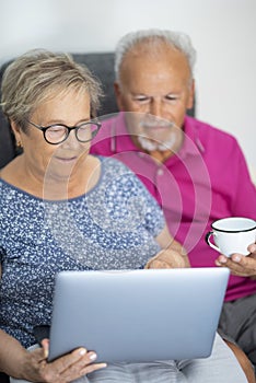 Vertical image of real elderly lifesyle indoor leisure technology activity. Senior couple using laptop at home sitting on sofa. photo