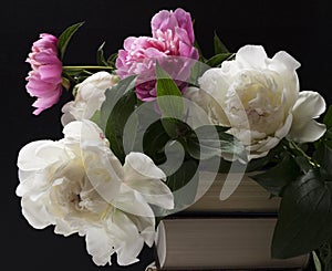 Cloeup of peonies bouquet on the books against dark background