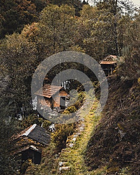 Vertical image of traditional houses in a village a the side of a mountain surrounded by trees