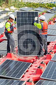 Vertical image of two professional technician workers stand and hold solar cell panel to check and maintenance the system in