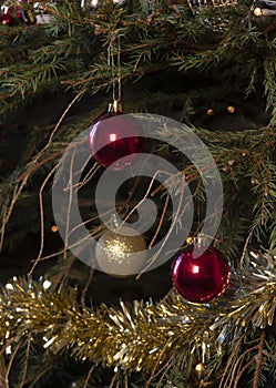 Christmas tree with fallen pine needles 5