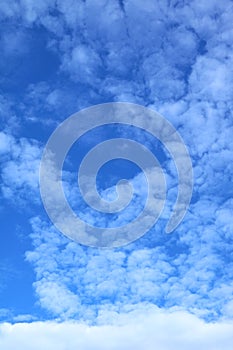 Vertical Image of Vibrant Blue Sky with White Clouds