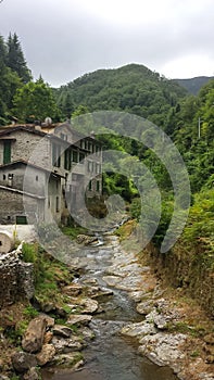 Vertical image of the village Sant& x27;Anna di Stazzema in the background of forests