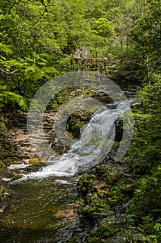 Vertical image of a waterfall surrounded by moss and a tree branch