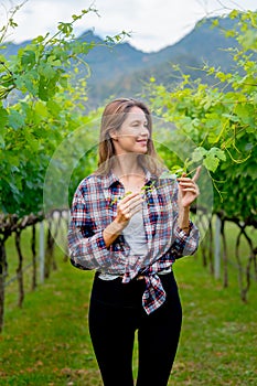 Vertical image of winery worker or farmer woman walk and check grape vine in the yard or field with day light and she look happy
