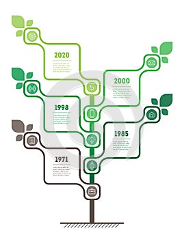 Vertical infographics or timeline with 5 options and 10 icons. Sustainable development and growth of the eco business or green