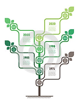 Vertical infographics or timeline with 5 options and 10 icons. Sustainable development and growth of the eco business or green
