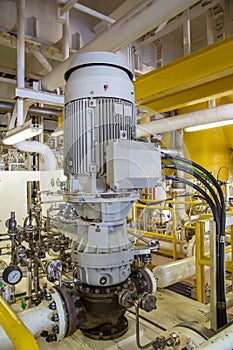 Vertical installation of gas compressor centrifugal type and electric motor used in oil and gas petroleum industry