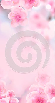 Vertical Japanese Spring Sakura cherry blossoms 160x600 size website skyscraper banner pink background and header