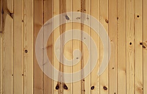 Vertical Knotty Pine Boards photo