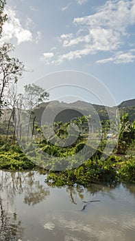 Vertical landscape of mountains and mangrove swamp in Dominican