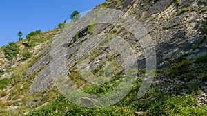 Vertical layers of sedimentary rocks