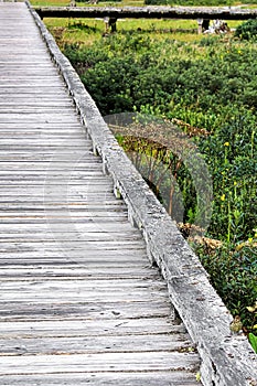 A vertical leading view of a grey old boardwalk