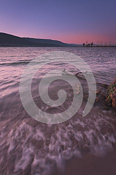 Vertical long exposure of foamy sea waves hitting the shore line and showering a driftwood at sunset