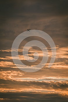 Vertical low angle shot of the airplane flying high in the cloudy sky during the sunset