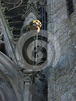 Vertical low angle shot of gargouille carving in carcassonne, france photo