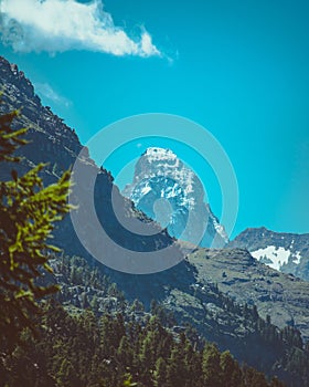 Vertical low-angle of sunlit Canadian Rockies clear sky background