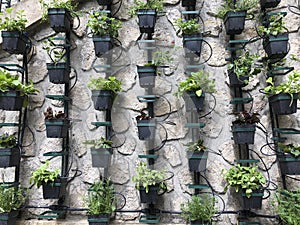 Vertical micro herb garden