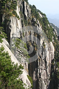 Vertical mountain cliff