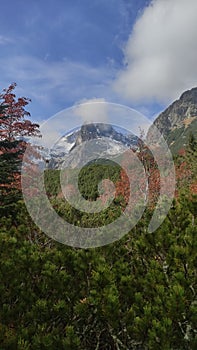 Vertical, Mountain valley with autumn red colors and mountain ridge covered with first snow in background. High Tatras NP,