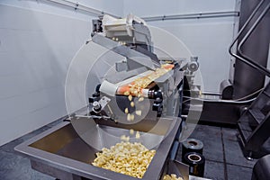 Vertical multi-head weigher packaging machine snacks and chips in a factory