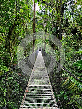 Vertical of a narrow hanging bridge in Mistico Park stretching across a lush jungle in Costa Rica photo