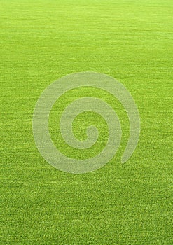 Vertical natured green grass golf field paper background