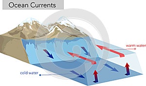 Vertical Ocean Currents. cold and warm