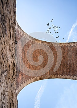 Vertical old railway arch viaduct bridge made of stone and brick looking up ground high above in the blue sky birds taking off