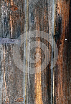 Vertical old wood grain close up grain