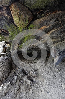 Vertical overhead shot of rocks and old tree hollow - perfect for background