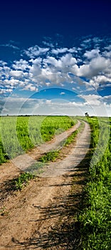 Vertical panorama of country road