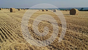 Vertical panorama of haystacks on a sloping field. Harvesting in the countryside